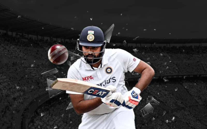 Bet on cricket at JeetBuzz.